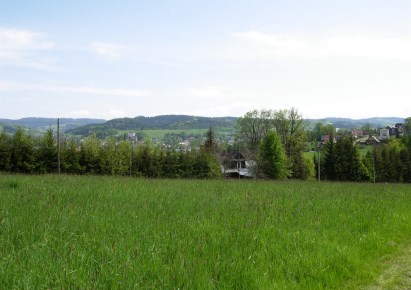 działka na sprzedaż - Lubień, Skomielna Biała