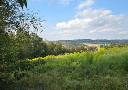 działka na sprzedaż - Łapanów