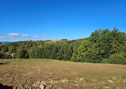 działka na sprzedaż - Raba Wyżna, Rokiciny Podhalańskie