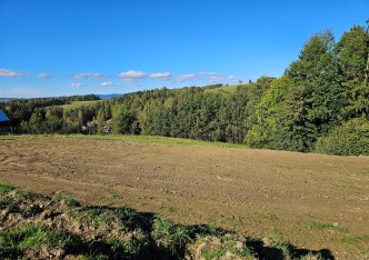 działka na sprzedaż - Raba Wyżna, Rokiciny Podhalańskie