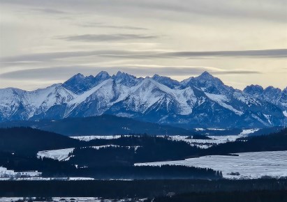 działka na sprzedaż - Nowy Targ (gw), Knurów